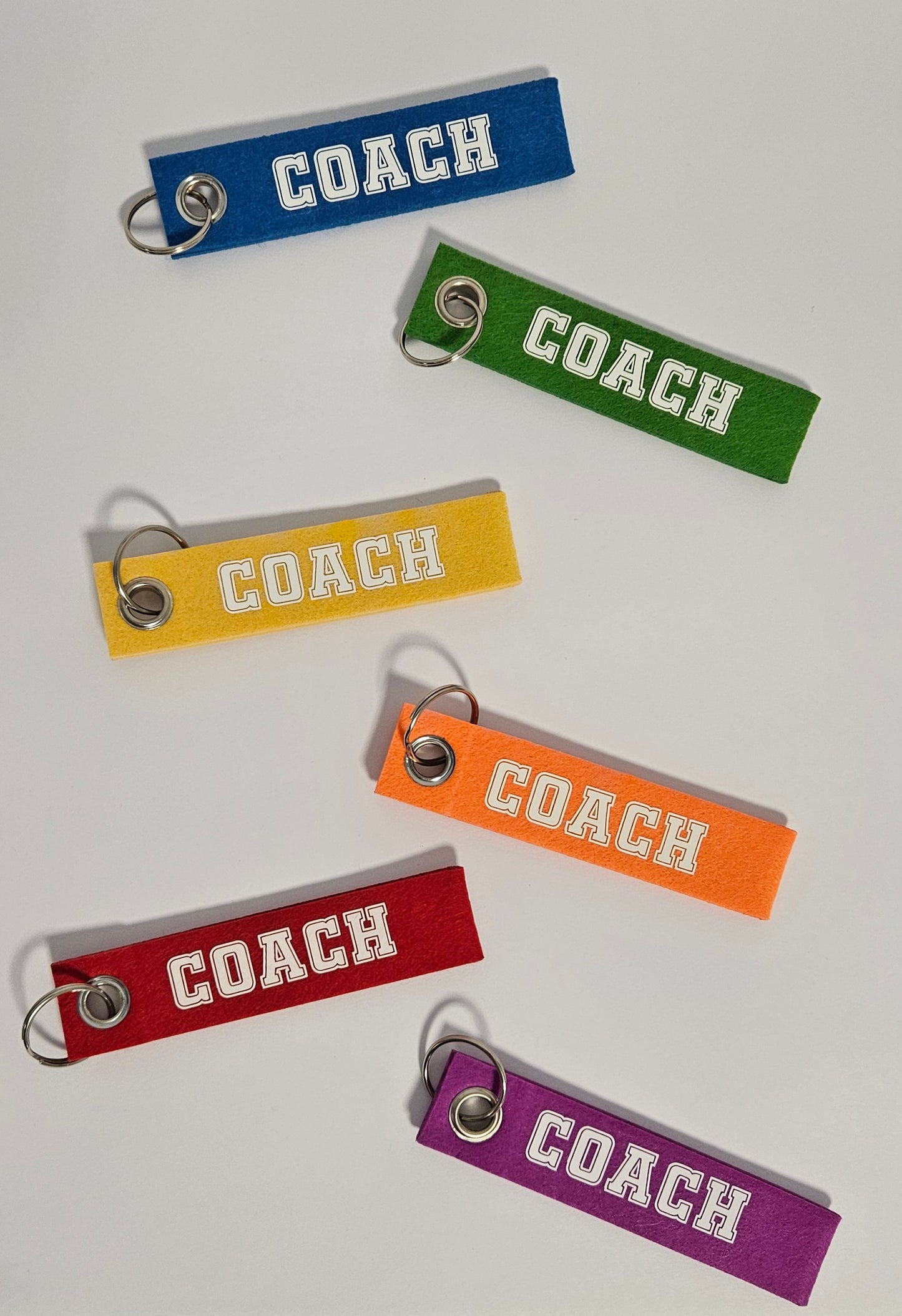 COACH KEY RING